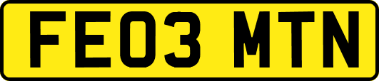 FE03MTN