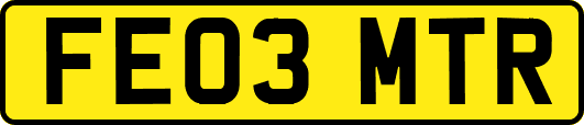 FE03MTR