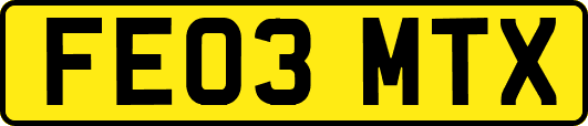 FE03MTX