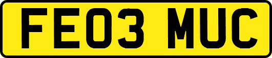 FE03MUC