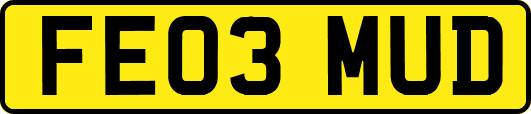 FE03MUD