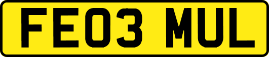 FE03MUL