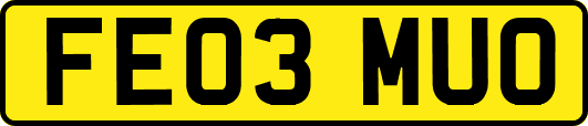 FE03MUO