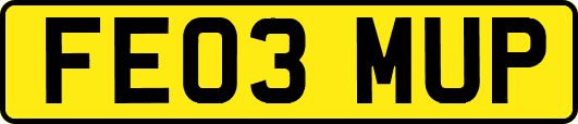 FE03MUP