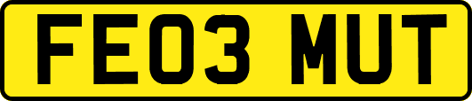 FE03MUT