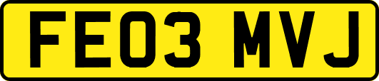FE03MVJ