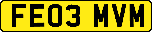 FE03MVM