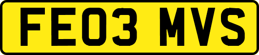 FE03MVS