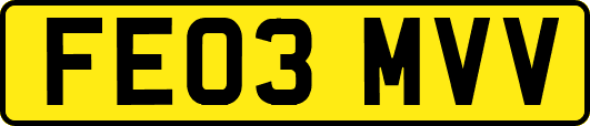 FE03MVV
