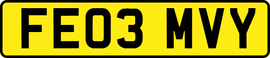 FE03MVY