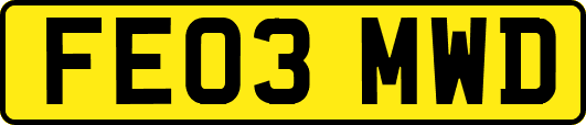 FE03MWD