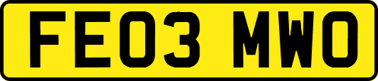 FE03MWO