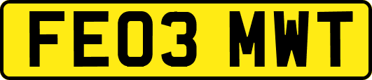 FE03MWT