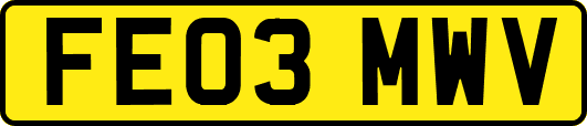 FE03MWV