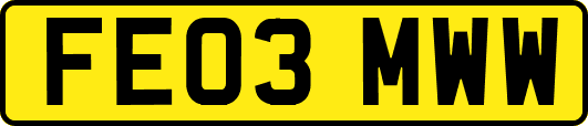 FE03MWW