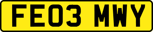 FE03MWY