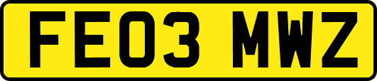 FE03MWZ