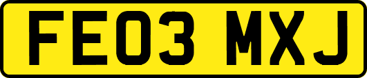 FE03MXJ