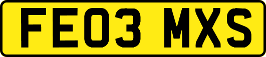 FE03MXS