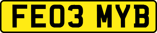 FE03MYB