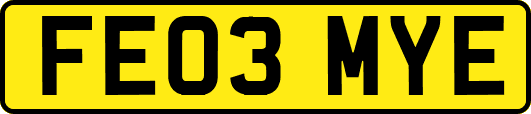 FE03MYE