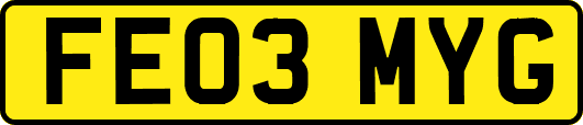 FE03MYG
