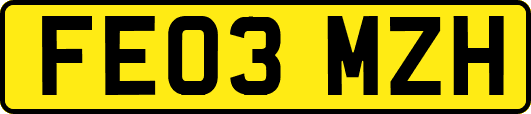 FE03MZH