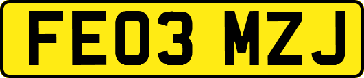 FE03MZJ