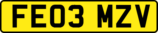 FE03MZV