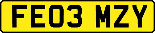 FE03MZY