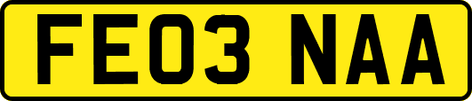 FE03NAA
