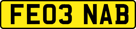 FE03NAB
