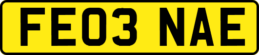 FE03NAE