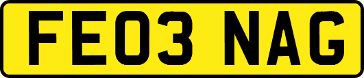 FE03NAG