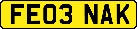 FE03NAK