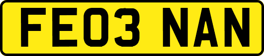 FE03NAN