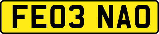 FE03NAO