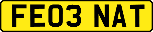 FE03NAT