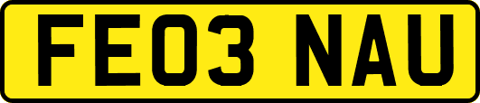 FE03NAU