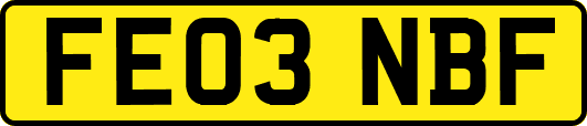 FE03NBF