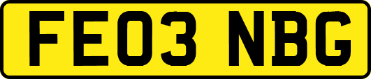 FE03NBG