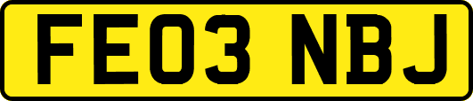 FE03NBJ