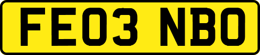 FE03NBO