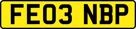 FE03NBP