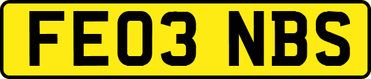 FE03NBS