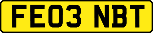 FE03NBT