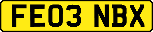 FE03NBX