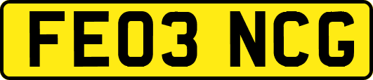 FE03NCG