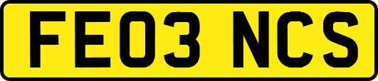 FE03NCS