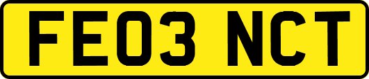 FE03NCT